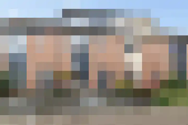 Ereprijs 6 Heerenveen thumbnail 5