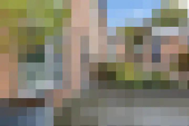 Ereprijs 6 Heerenveen thumbnail 6