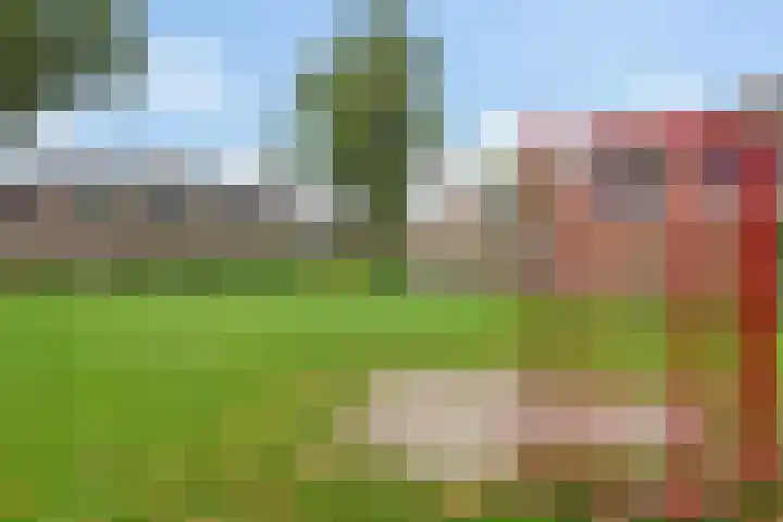 Ereprijs 6 Heerenveen thumbnail 7