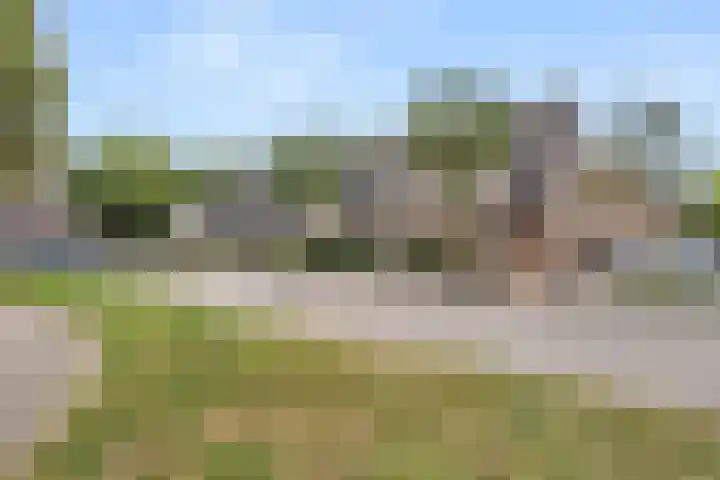 Ereprijs 61 Bennekom thumbnail 4