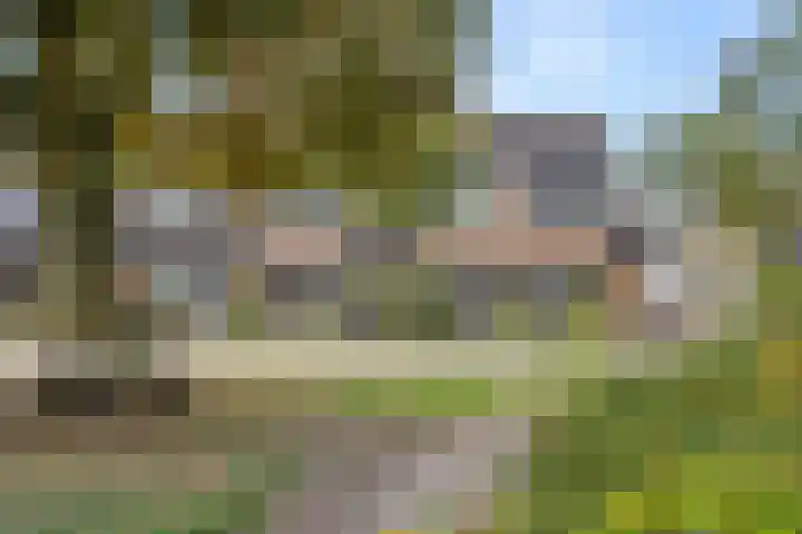 Ereprijs 61 Bennekom thumbnail 5