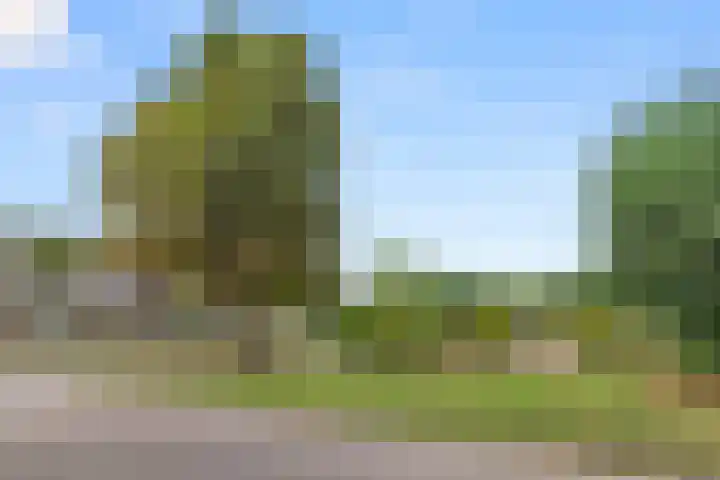 Ereprijs 61 Bennekom thumbnail 6