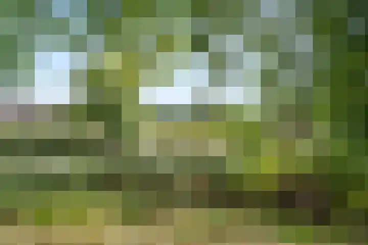 Ereprijs 61 Bennekom thumbnail 7