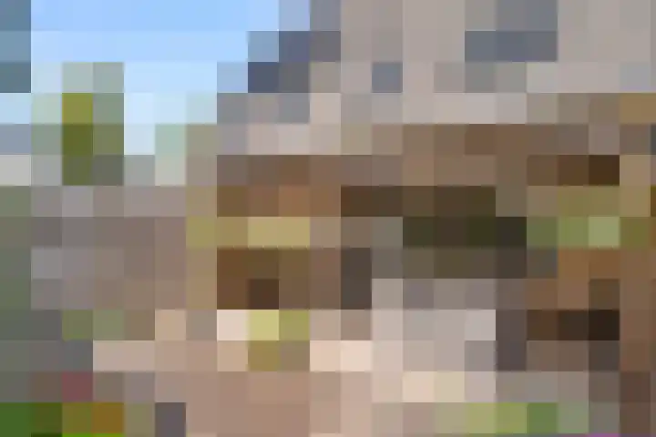 Ereprijs 61 Bennekom thumbnail 9