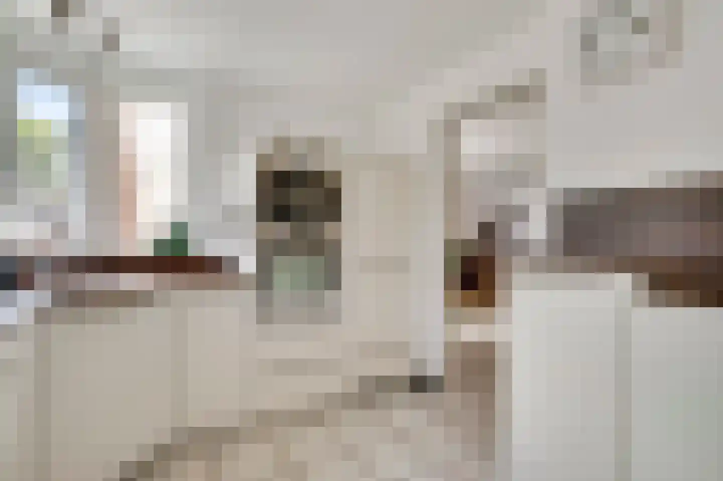 Ereprijs 64 Herkenbosch thumbnail 13