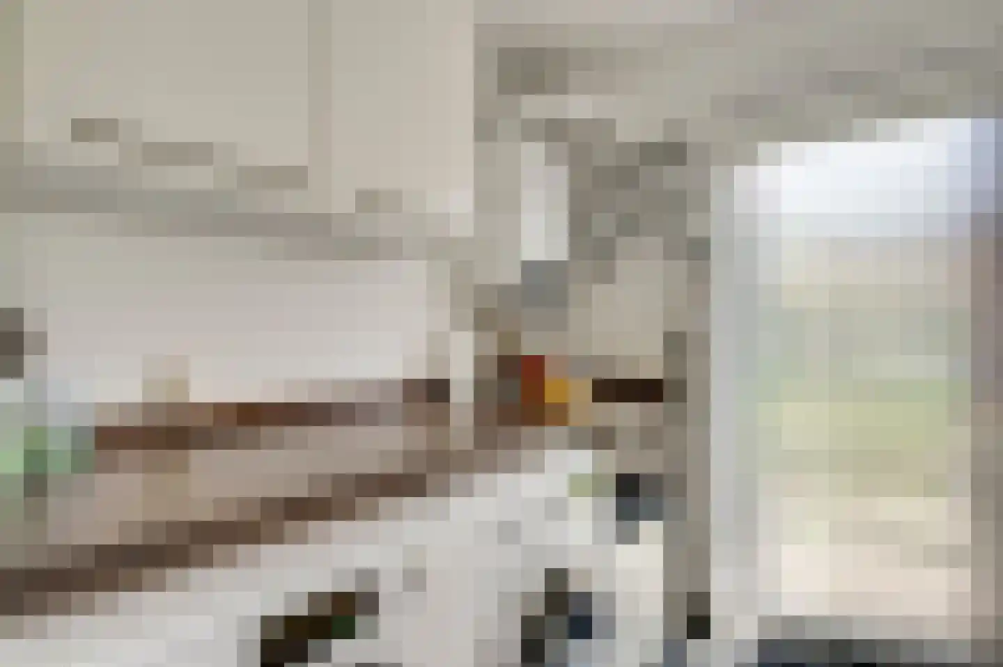 Ereprijs 64 Herkenbosch thumbnail 14