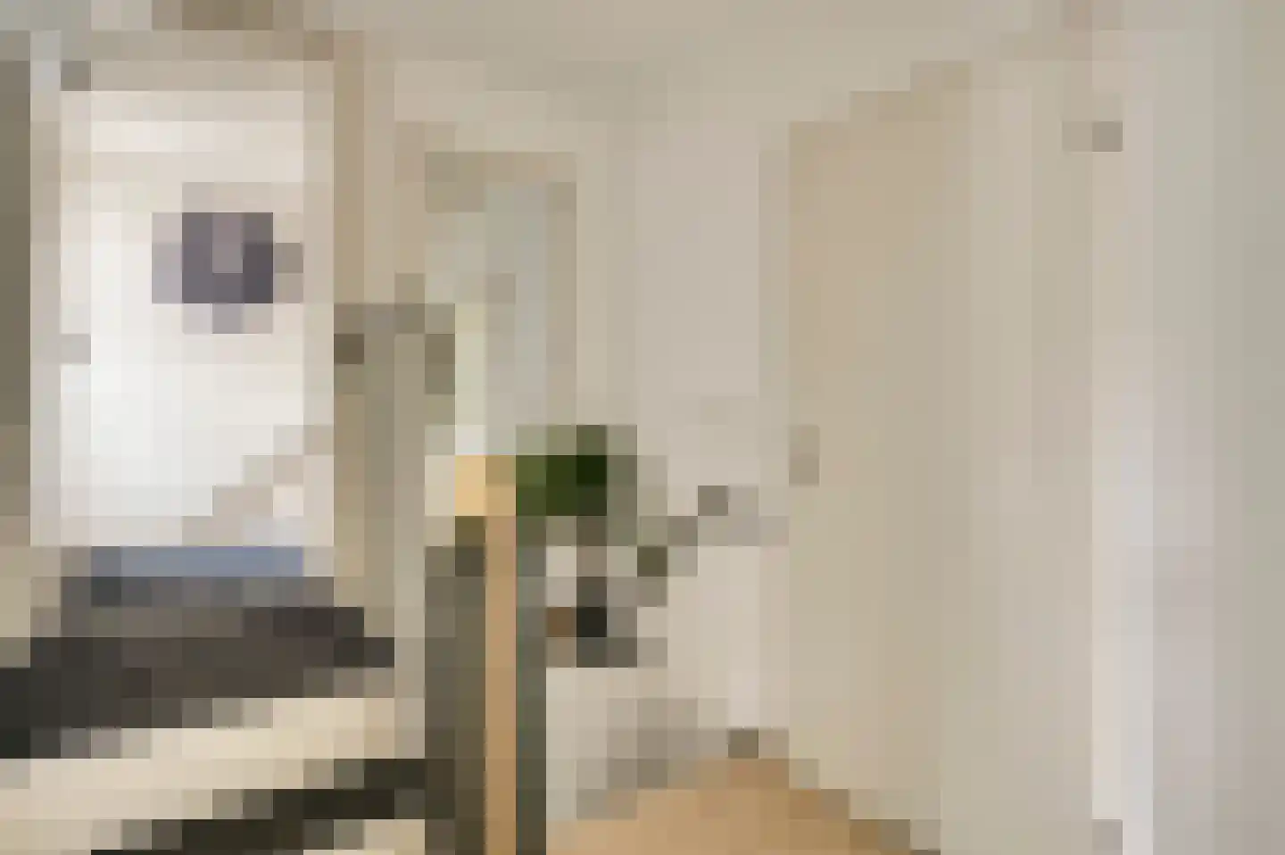 Ereprijs 64 Herkenbosch thumbnail 16