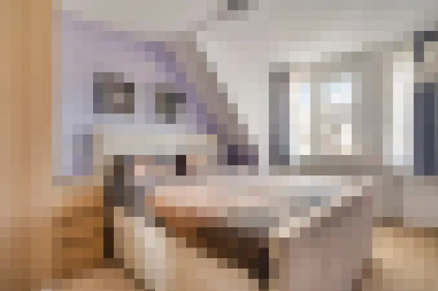 Ereprijs 64 Herkenbosch thumbnail 17
