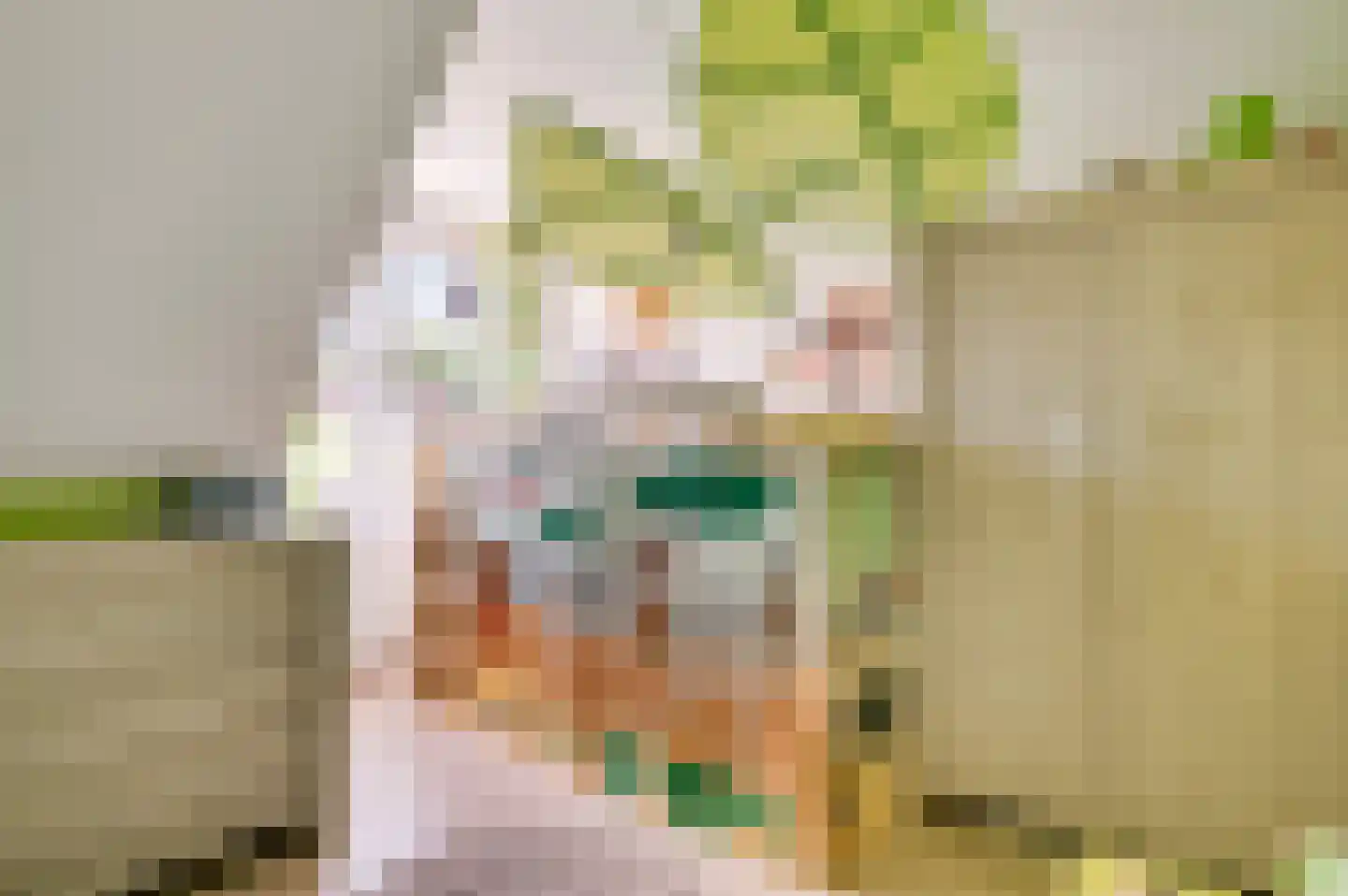 Ereprijs 64 Herkenbosch thumbnail 18