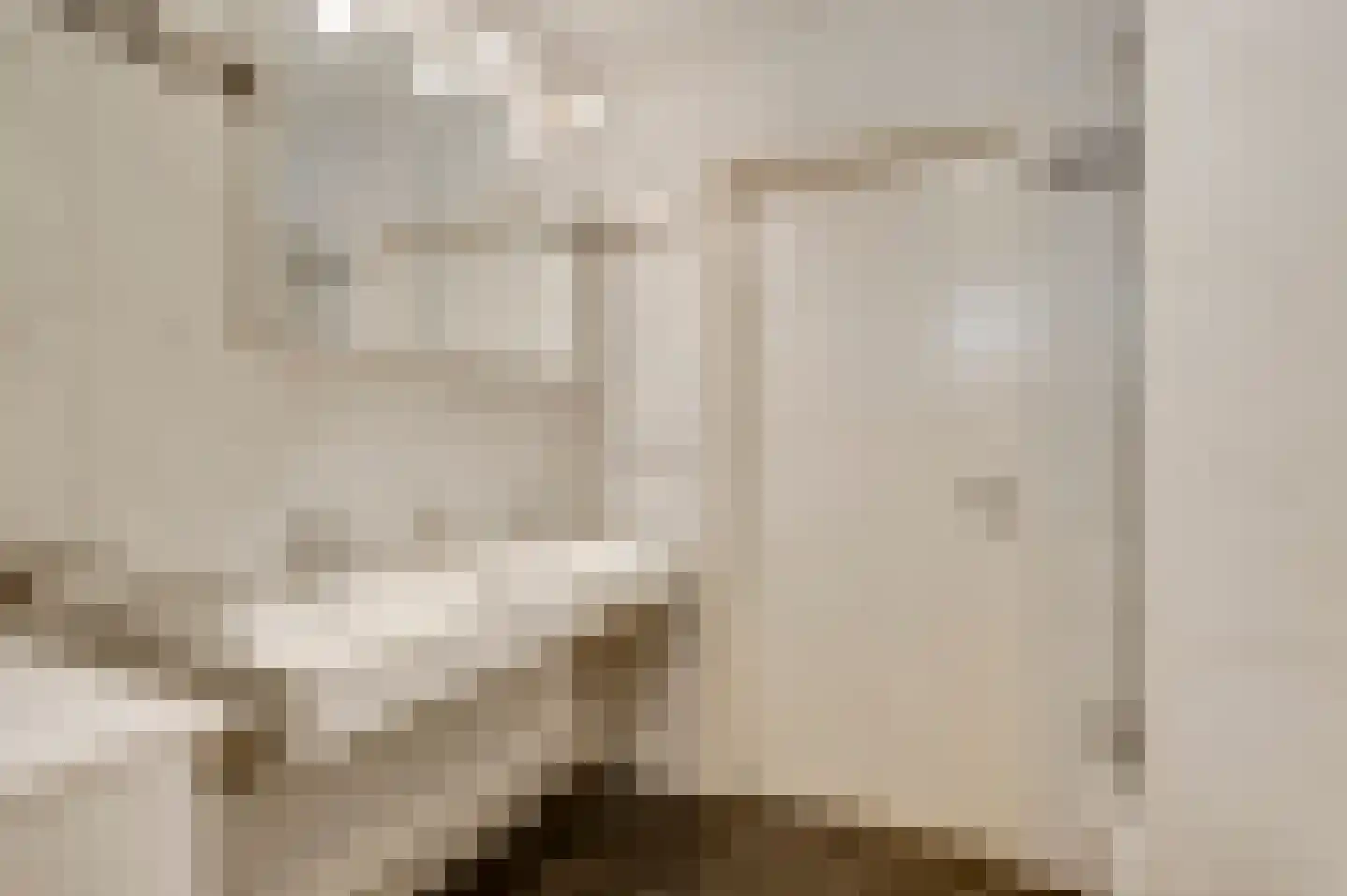 Ereprijs 64 Herkenbosch thumbnail 22