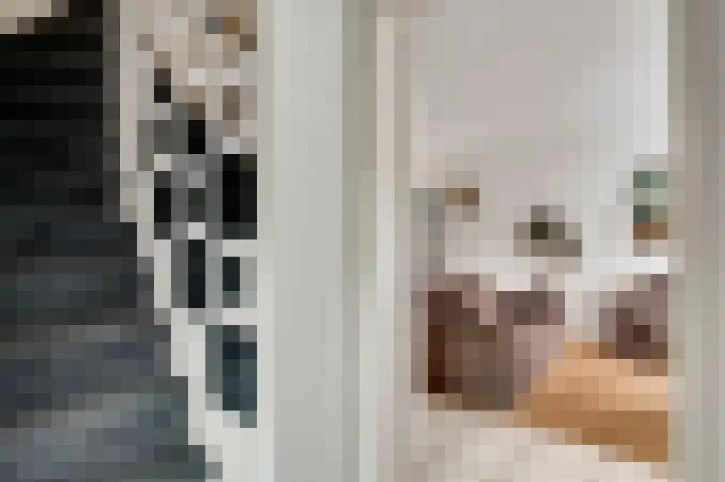 Ereprijs 64 Herkenbosch thumbnail 5