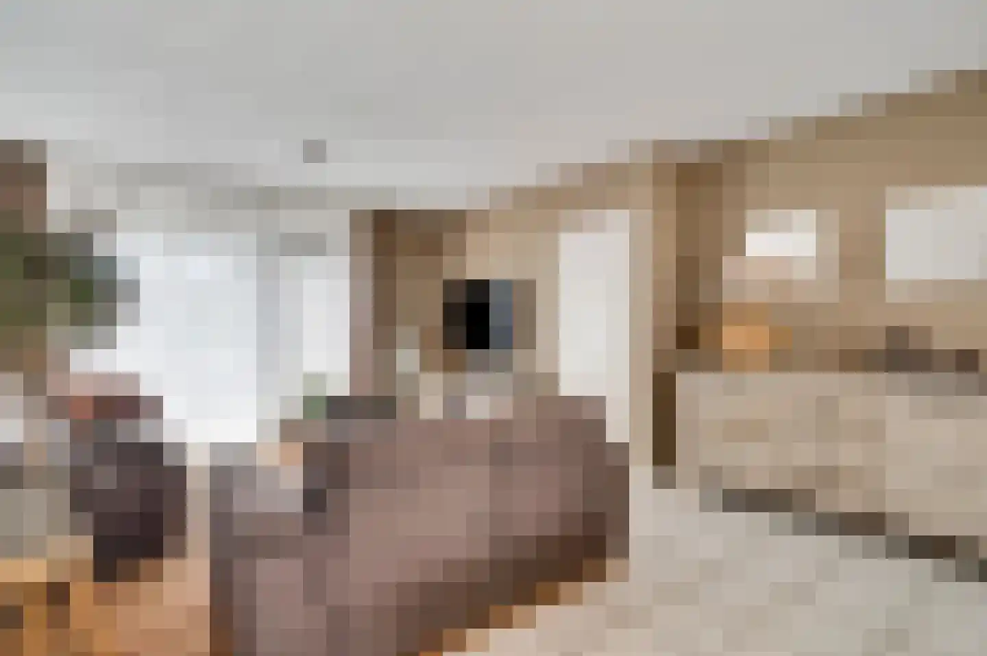 Ereprijs 64 Herkenbosch thumbnail 6