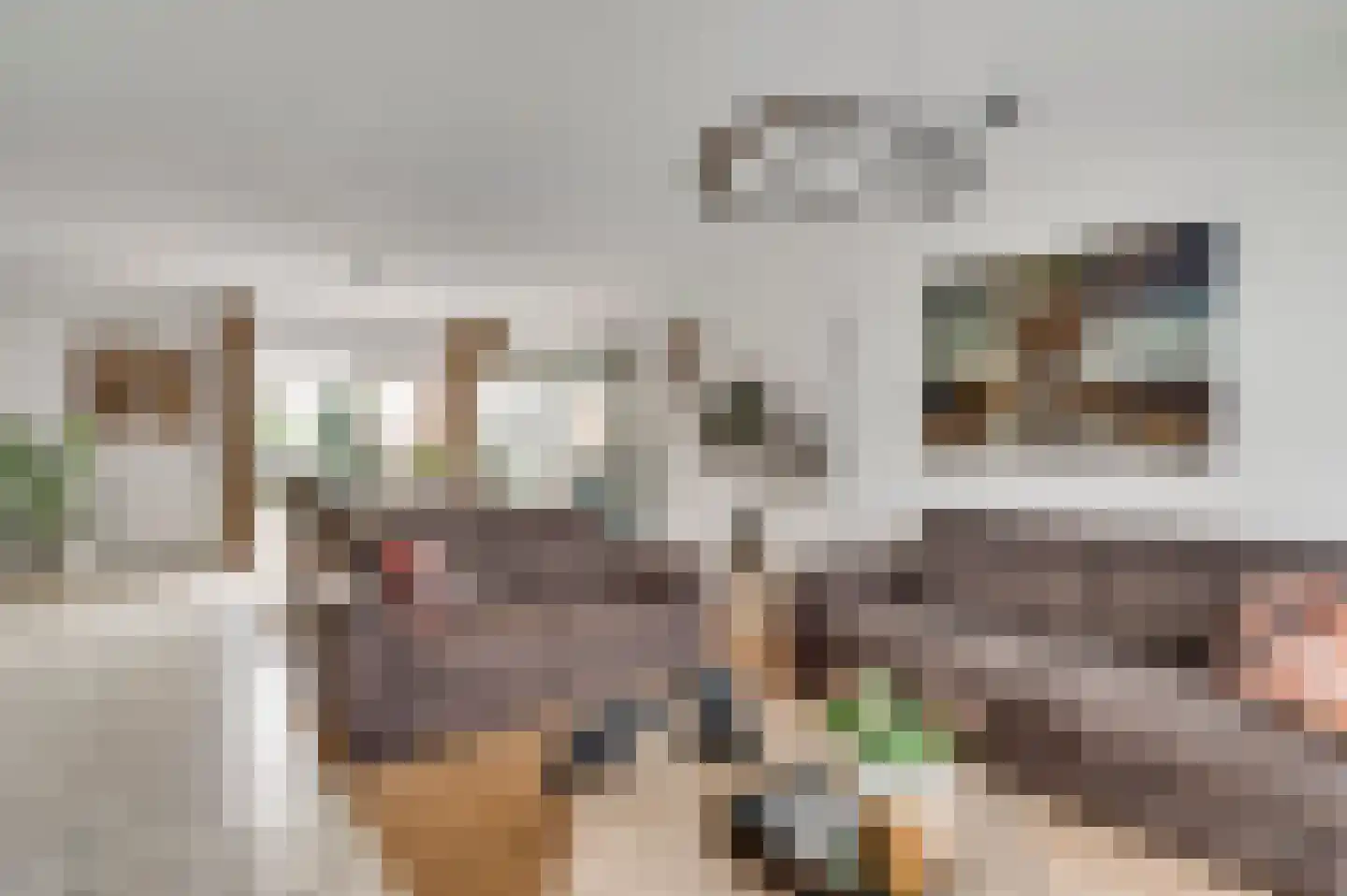 Ereprijs 64 Herkenbosch thumbnail 7