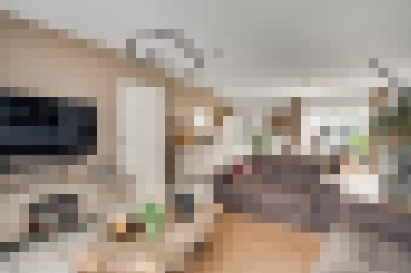 Ereprijs 64 Herkenbosch thumbnail 8