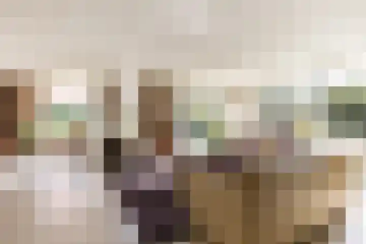 Ereprijs 7 Schoonhoven thumbnail 10