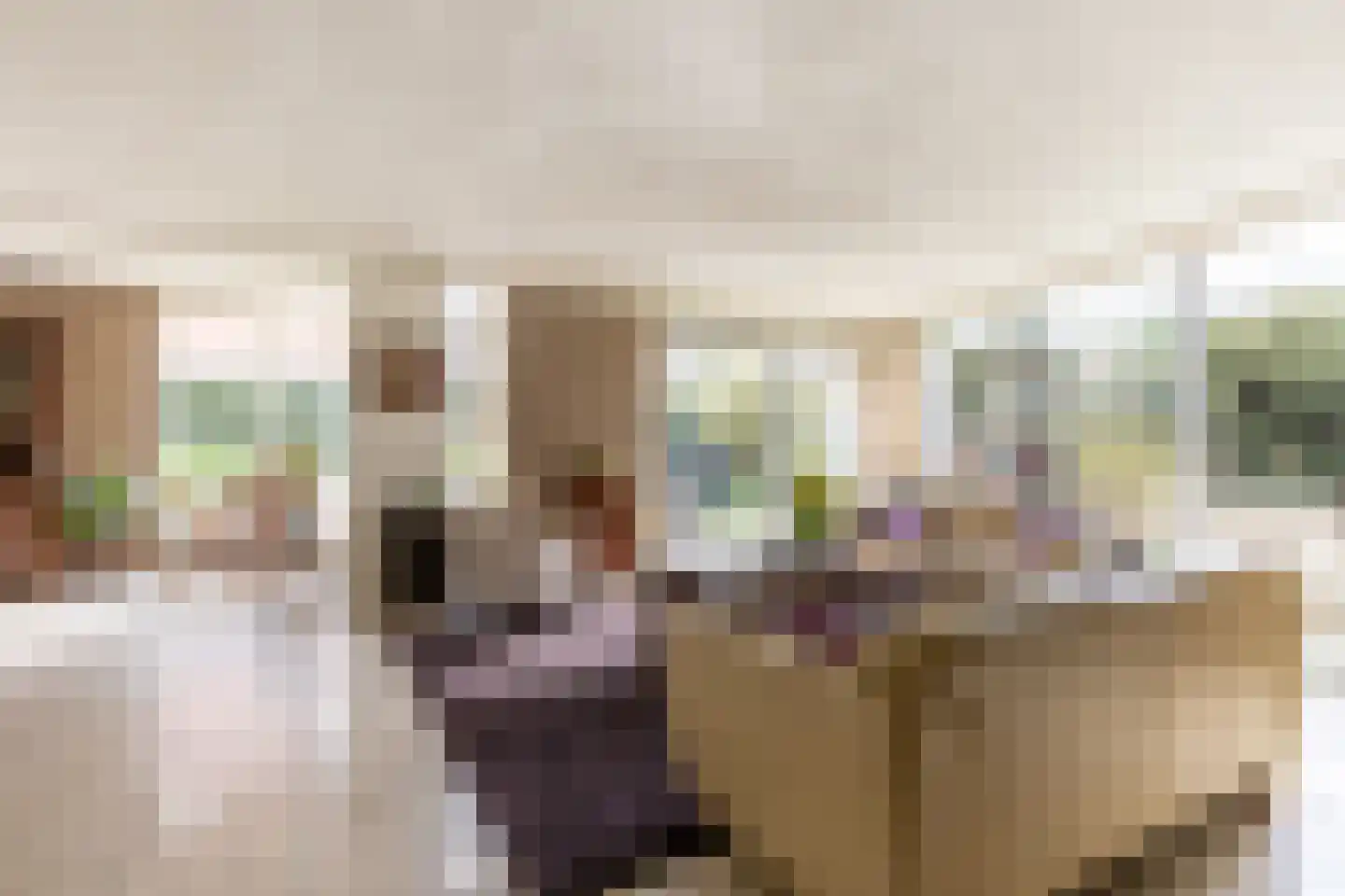 Ereprijs 7 Schoonhoven thumbnail 11
