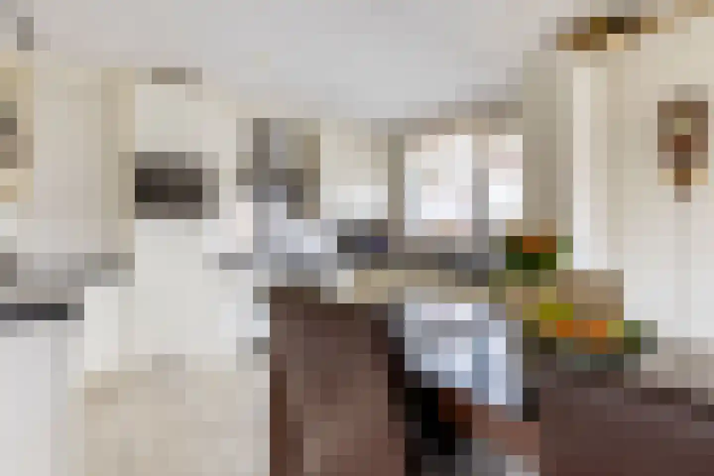 Ereprijs 7 Schoonhoven thumbnail 15
