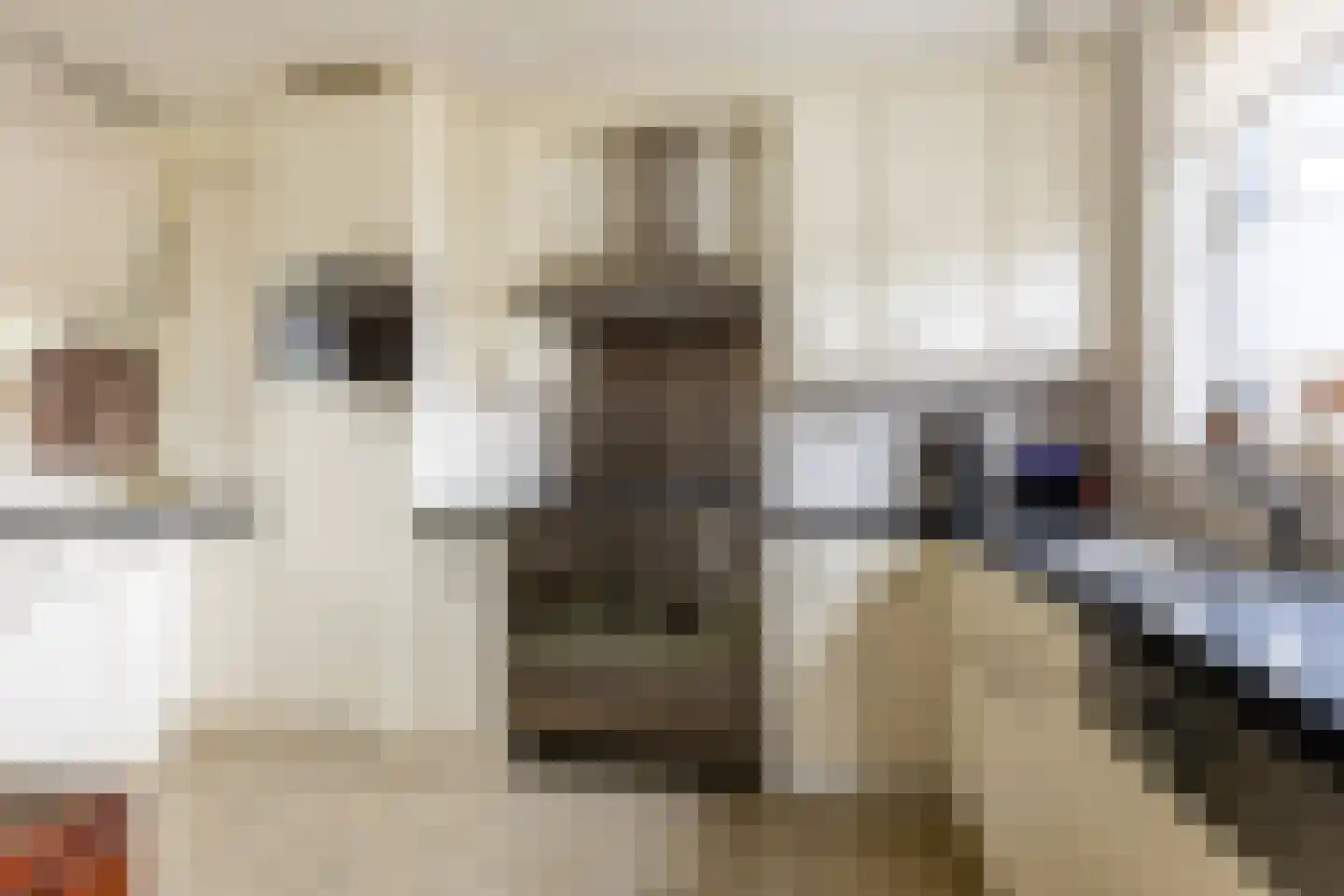 Ereprijs 7 Schoonhoven thumbnail 17