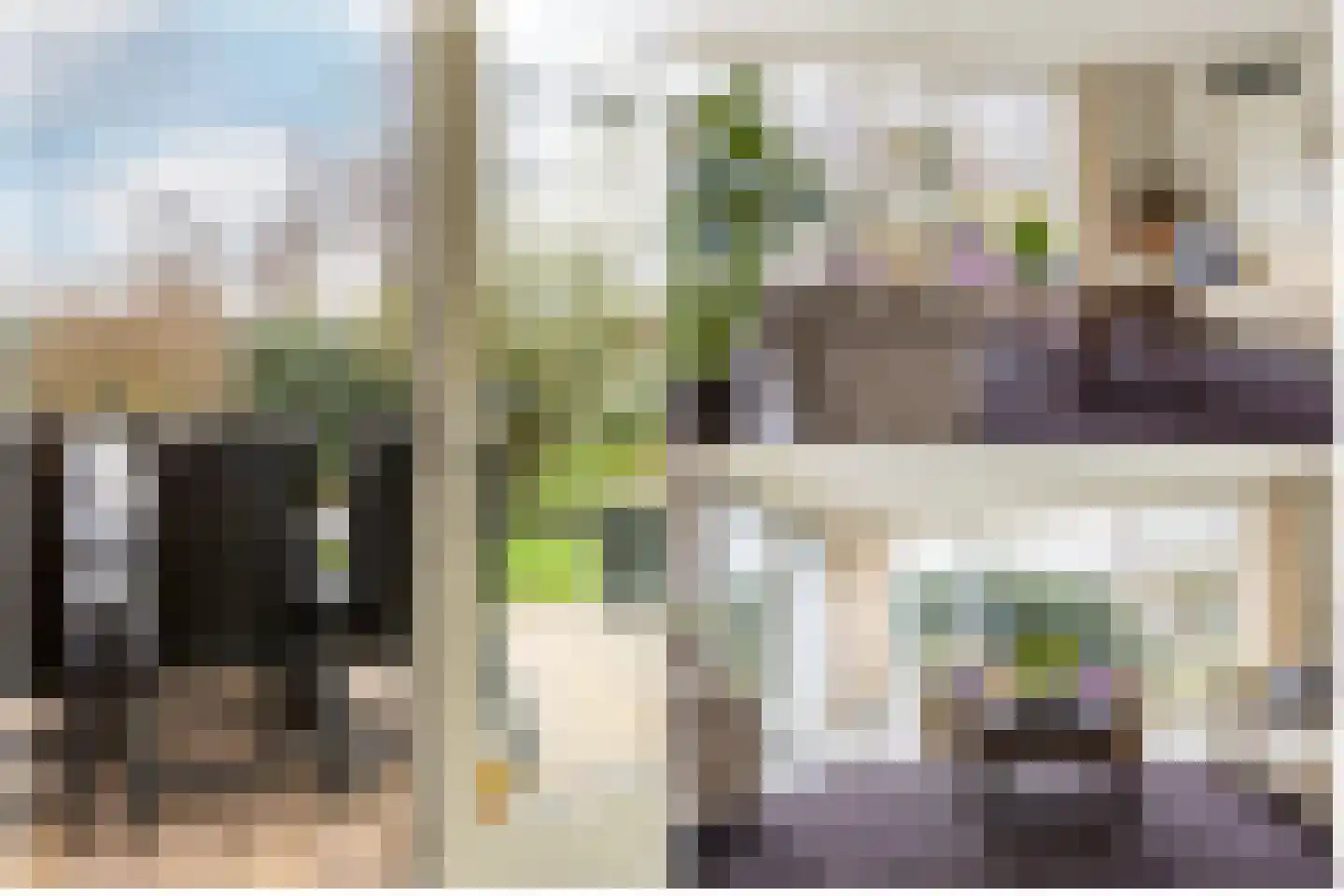 Ereprijs 7 Schoonhoven thumbnail 20