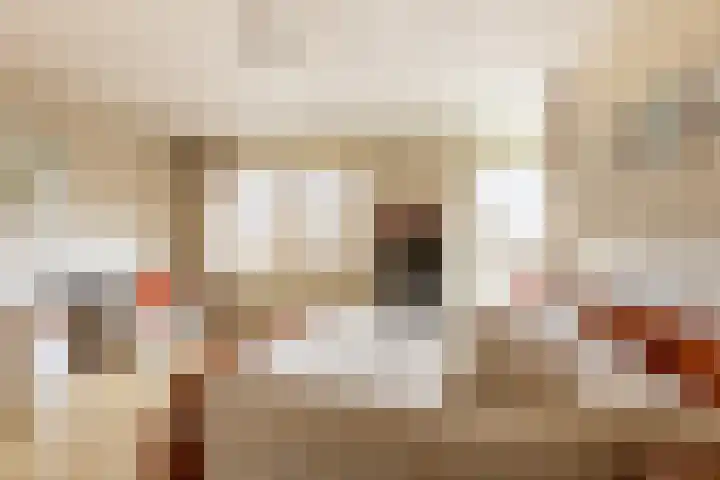 Ereprijs 7 Schoonhoven thumbnail 30