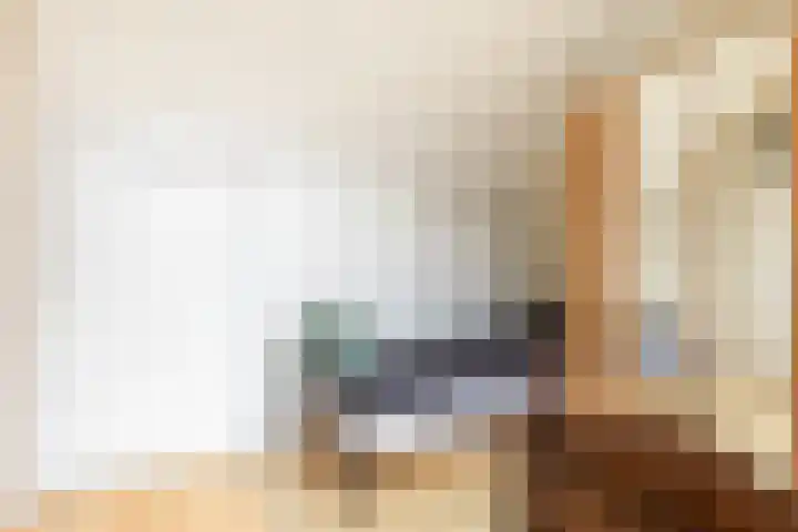 Ereprijs 7 Schoonhoven thumbnail 37