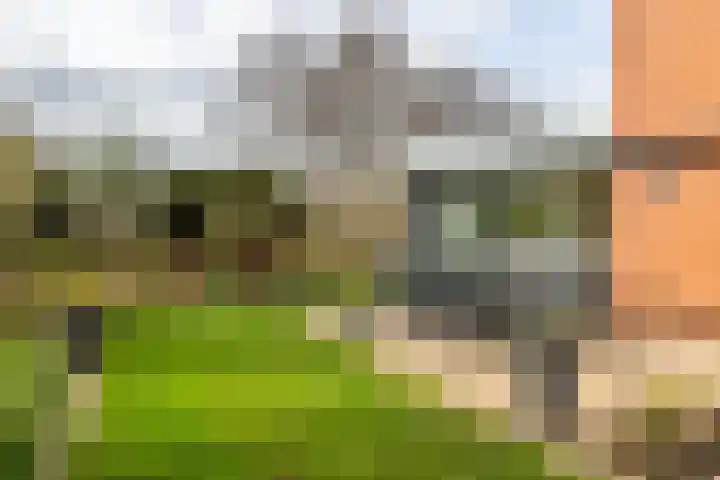 Ereprijs 7 Schoonhoven thumbnail 42