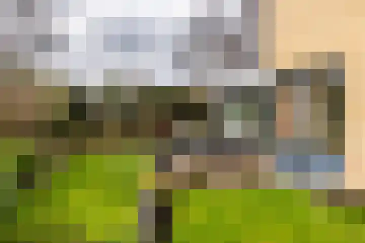 Ereprijs 7 Schoonhoven thumbnail 43