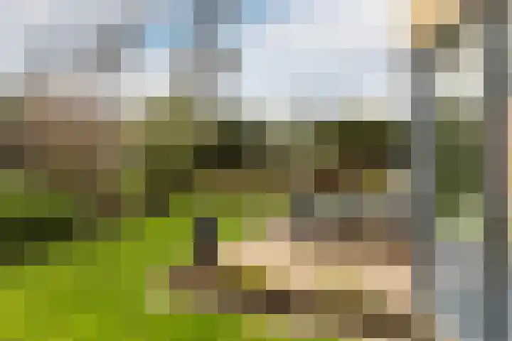 Ereprijs 7 Schoonhoven thumbnail 44