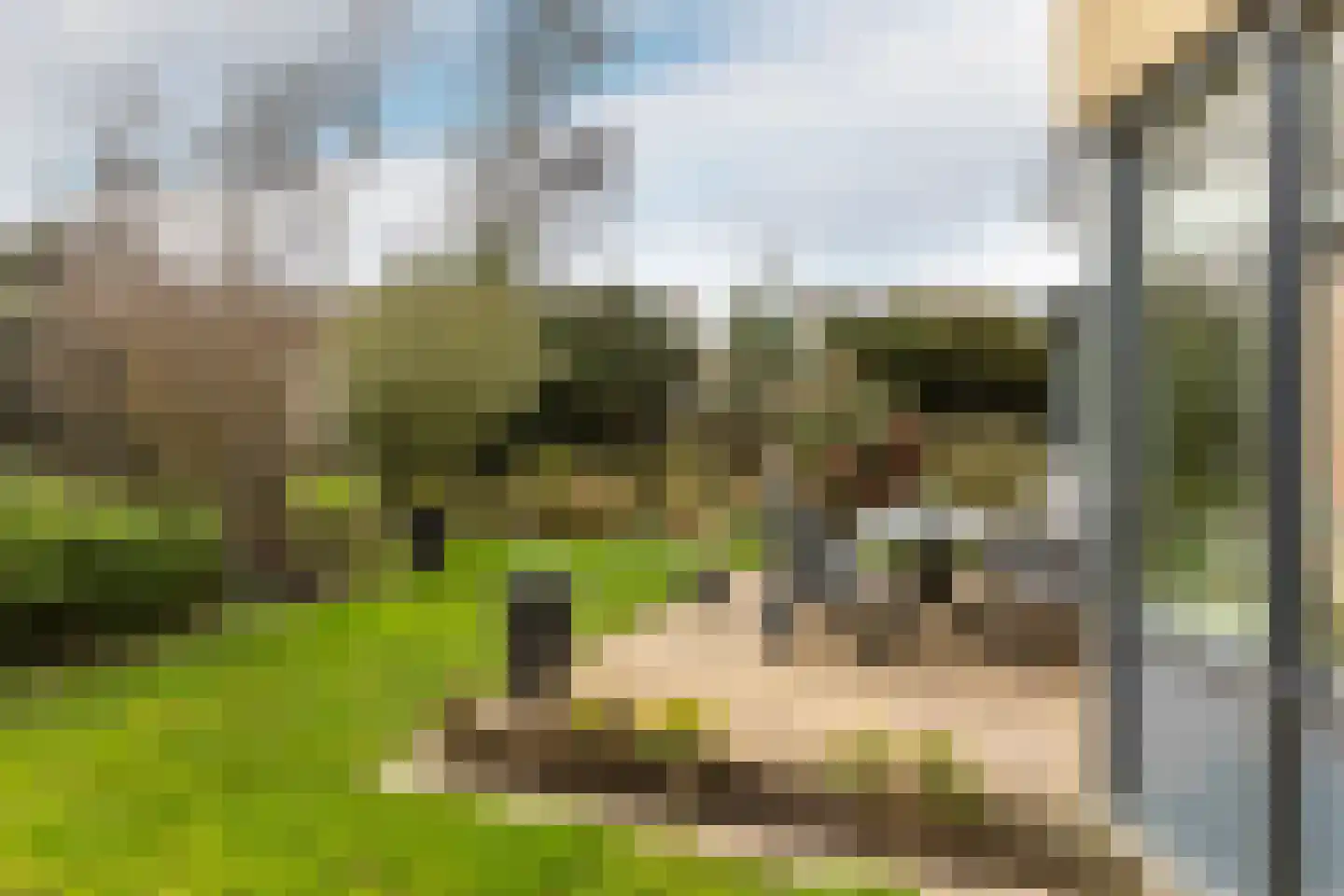 Ereprijs 7 Schoonhoven thumbnail 45