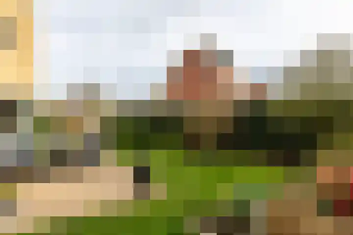 Ereprijs 7 Schoonhoven thumbnail 48