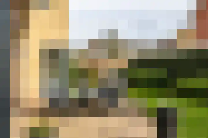 Ereprijs 7 Schoonhoven thumbnail 49