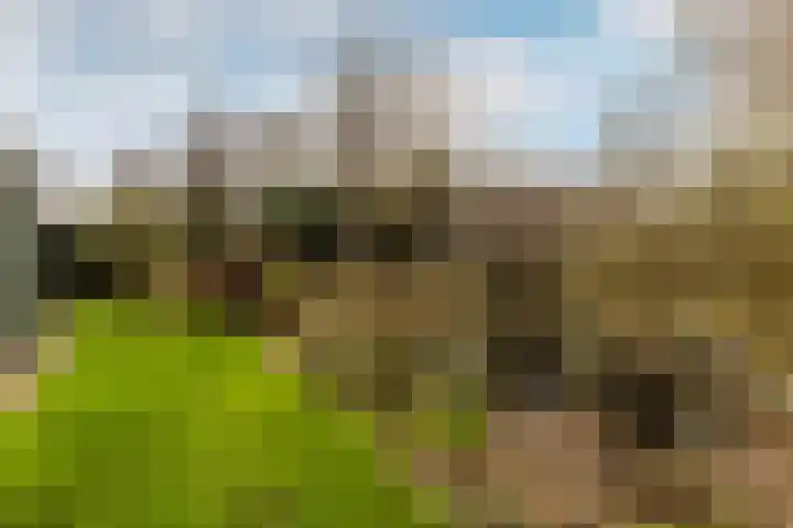 Ereprijs 7 Schoonhoven thumbnail 50
