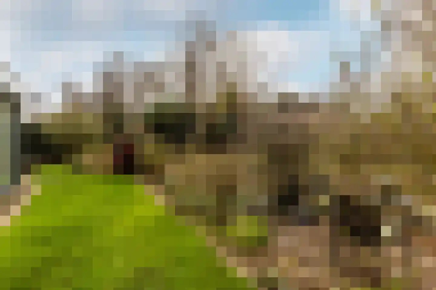 Ereprijs 7 Schoonhoven thumbnail 51