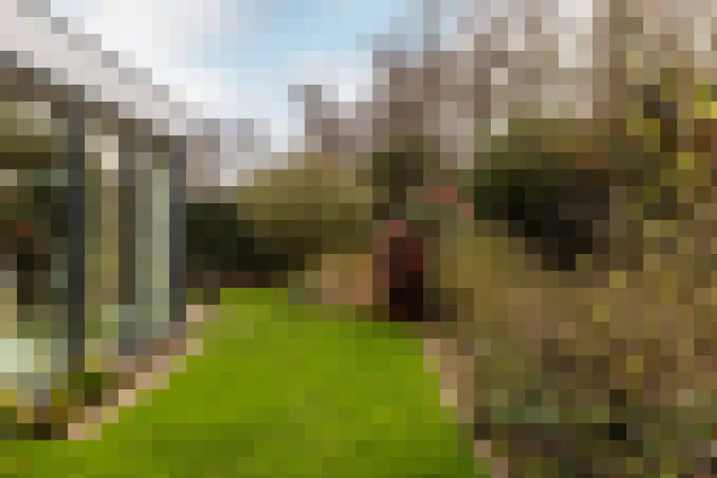 Ereprijs 7 Schoonhoven thumbnail 52