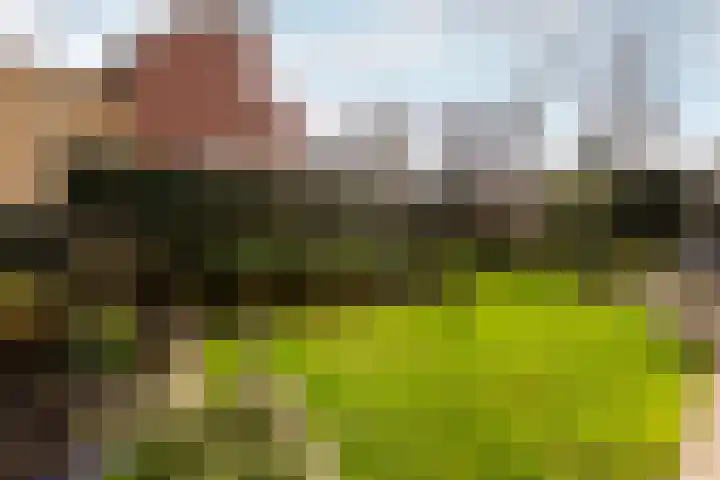 Ereprijs 7 Schoonhoven thumbnail 52