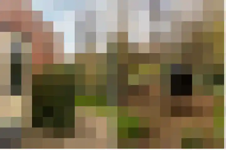 Ereprijs 7 Schoonhoven thumbnail 53