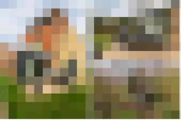 Ereprijs 7 Schoonhoven thumbnail 55