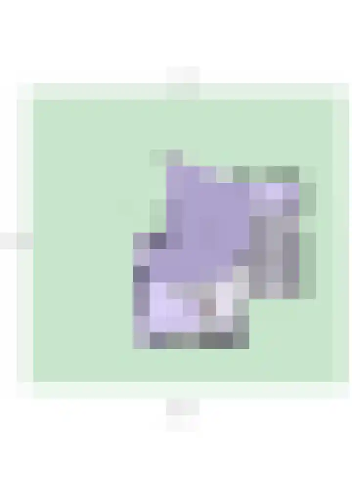 Ereprijs 7 Schoonhoven thumbnail 63