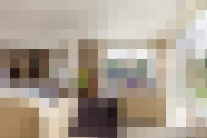 Ereprijs 7 Schoonhoven thumbnail 8