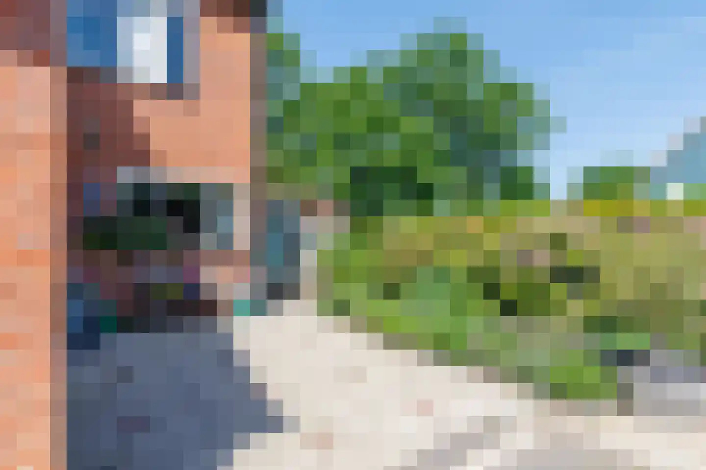 Ereprijs 76 Oldenzaal thumbnail 7
