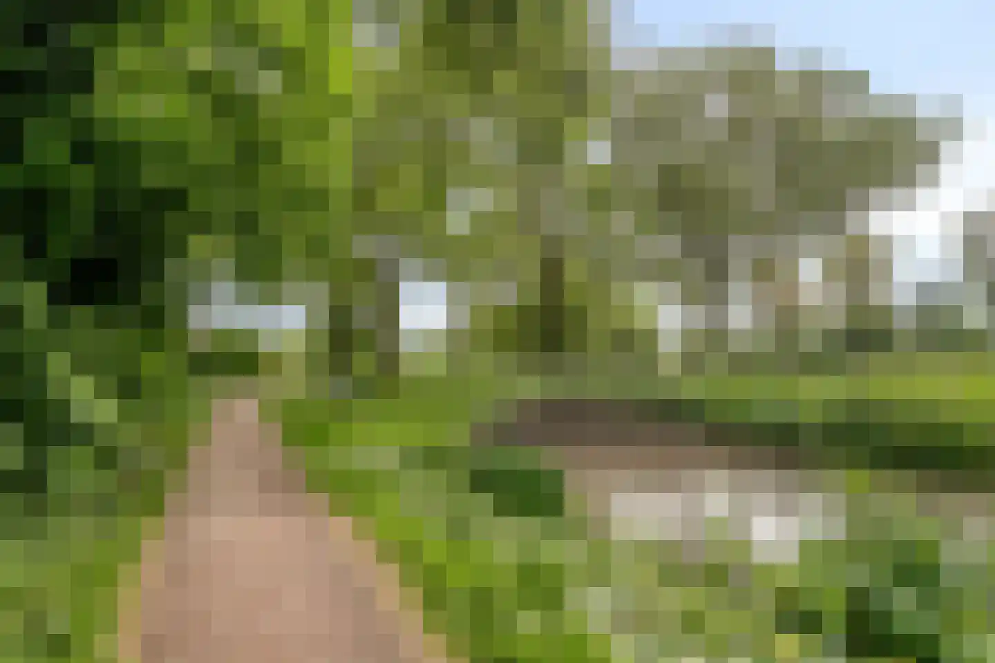 Ereprijs 80 Huizen thumbnail 36