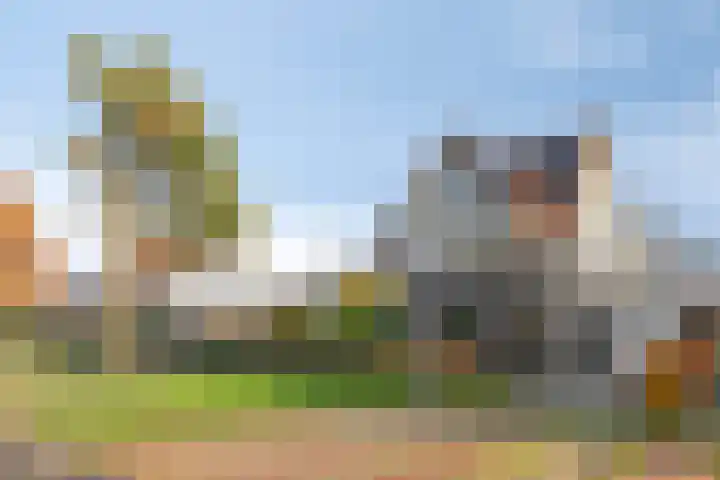 Ereprijs 9 in Meppel