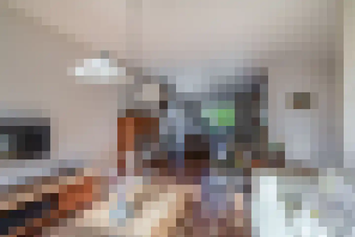 Ereprijshof 8 Houten thumbnail 11