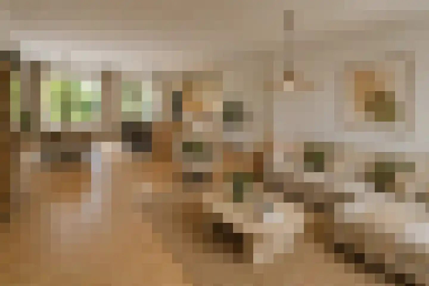 Ereprijshof 8 Houten thumbnail 12