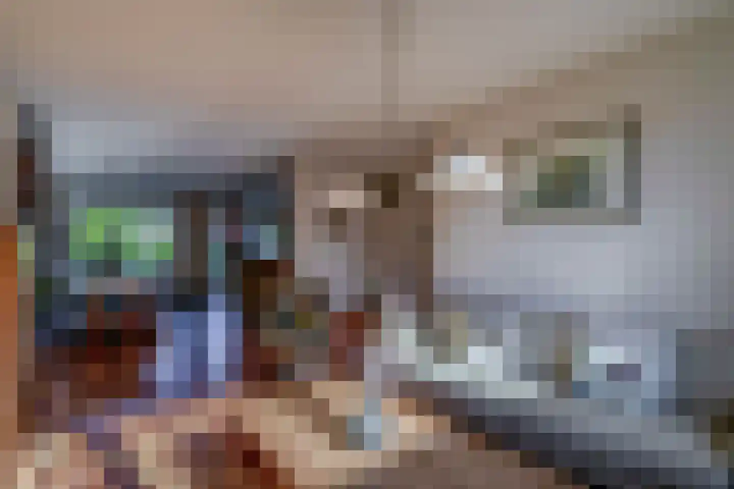 Ereprijshof 8 Houten thumbnail 13