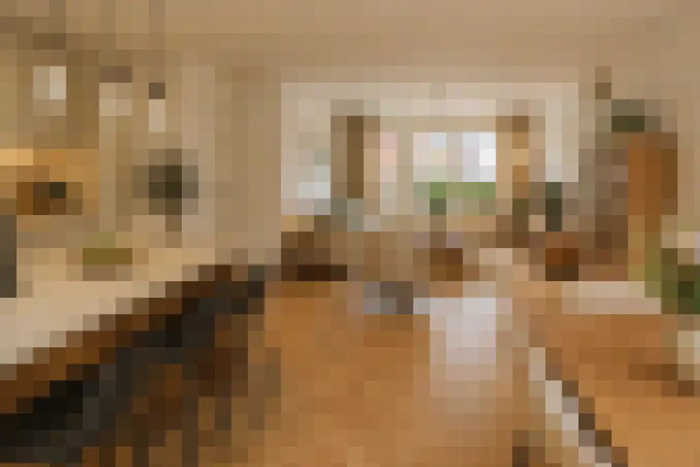 Ereprijshof 8 Houten thumbnail 14