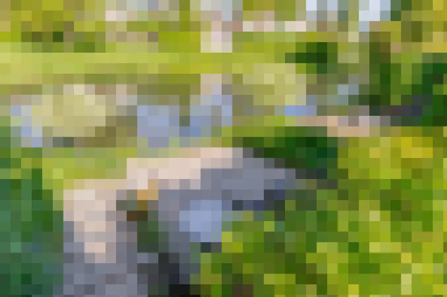 Ereprijshof 8 Houten thumbnail 24