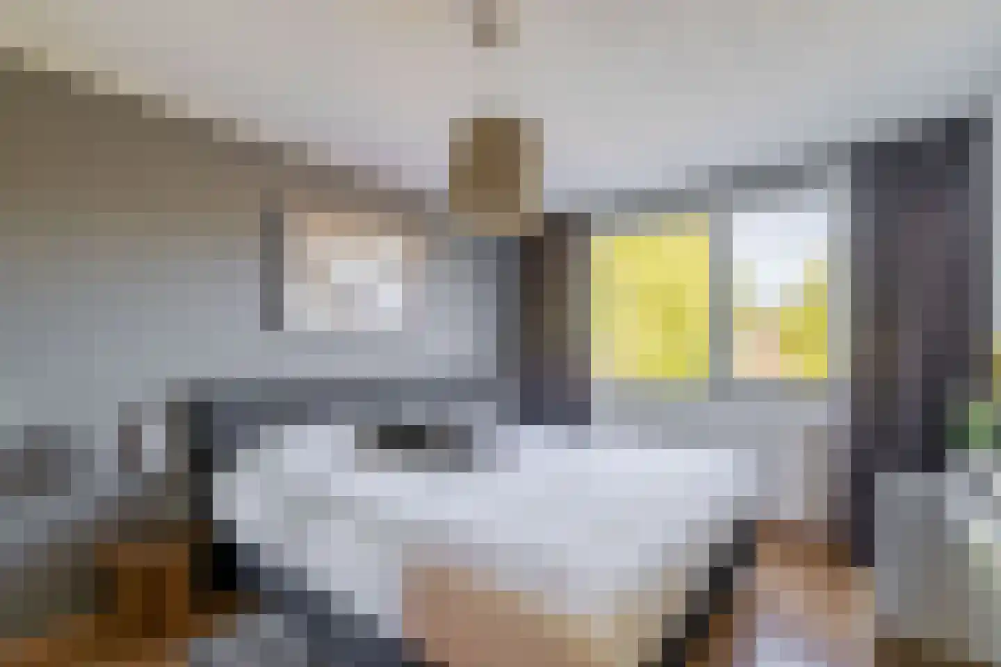 Ereprijshof 8 Houten thumbnail 30