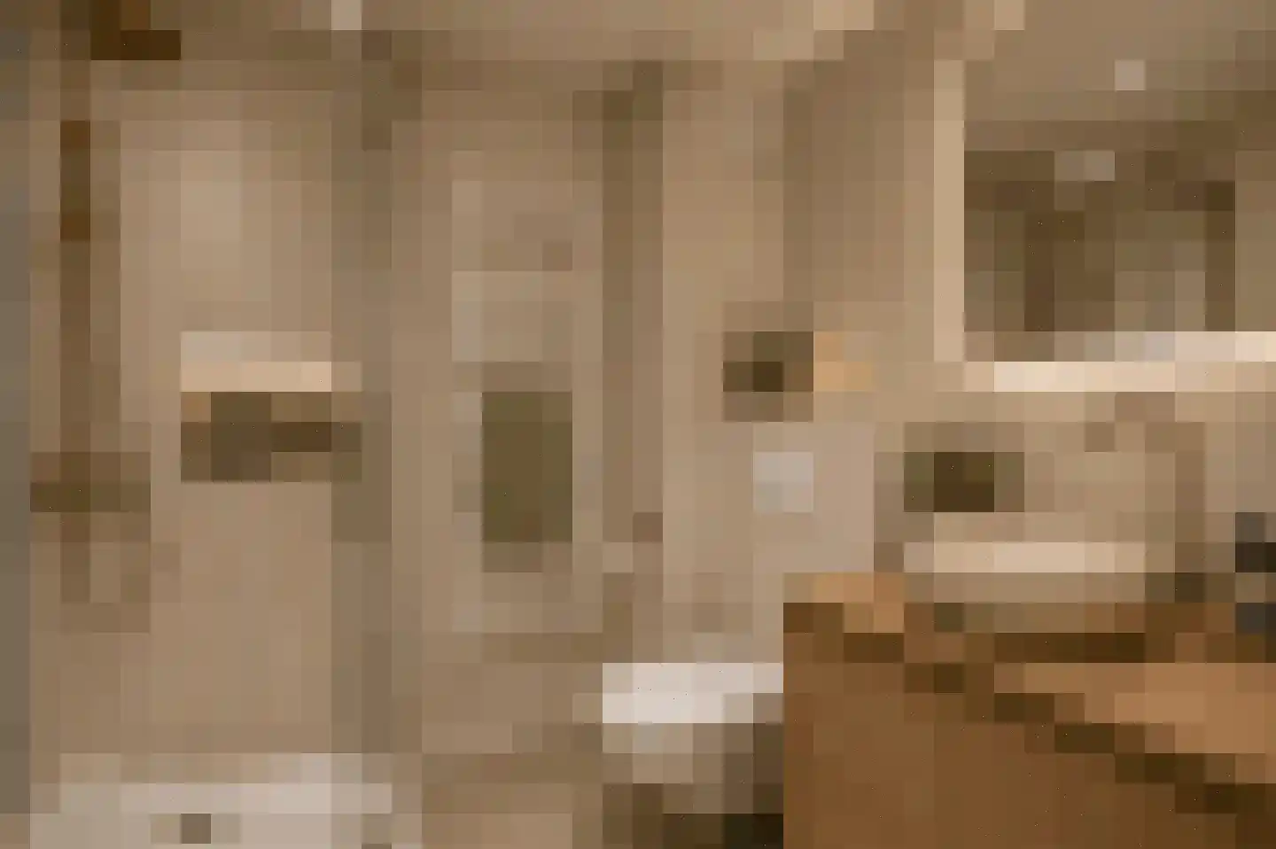 Ereprijshof 8 Houten thumbnail 34