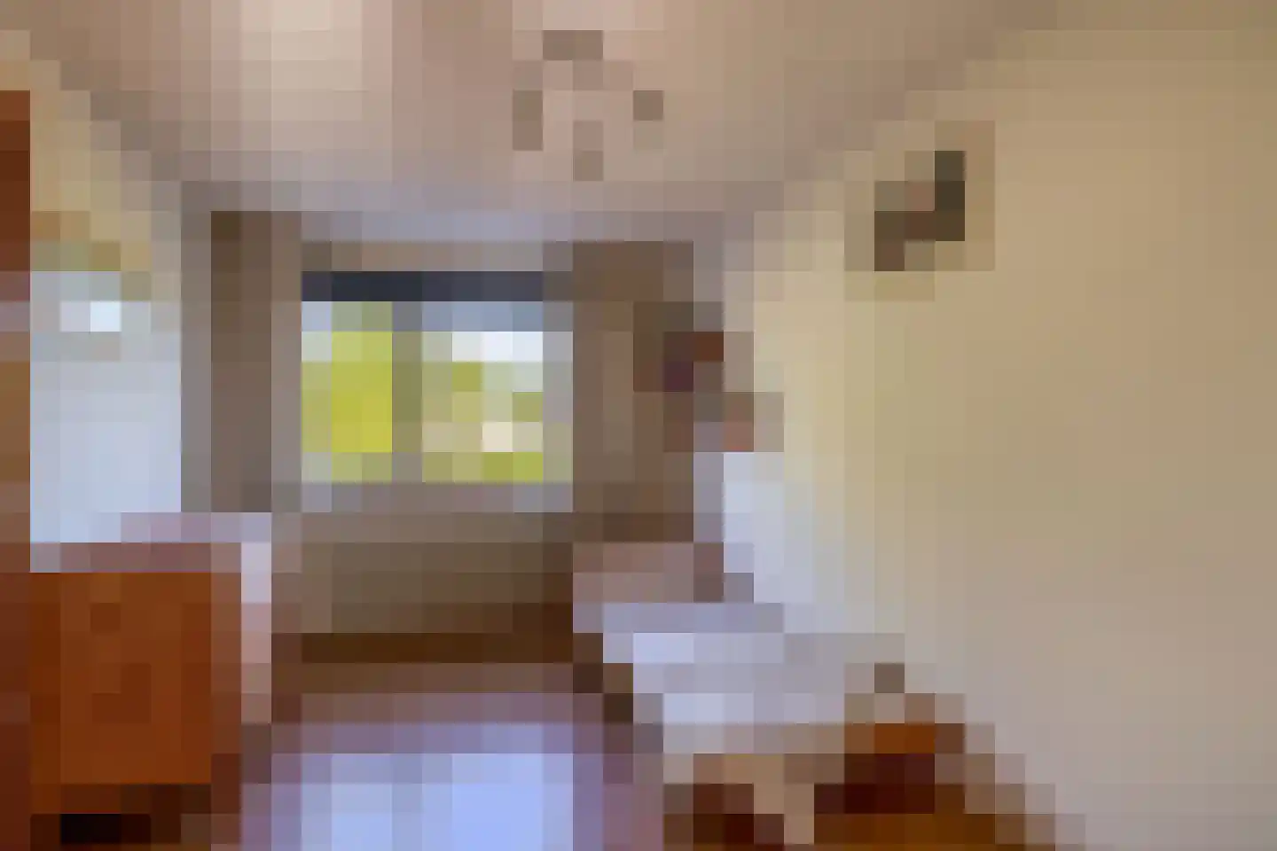 Ereprijshof 8 Houten thumbnail 35